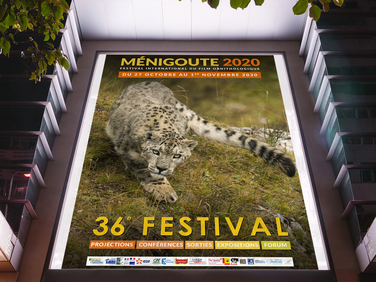 Festival de Ménigoute - Affiches et supports divers